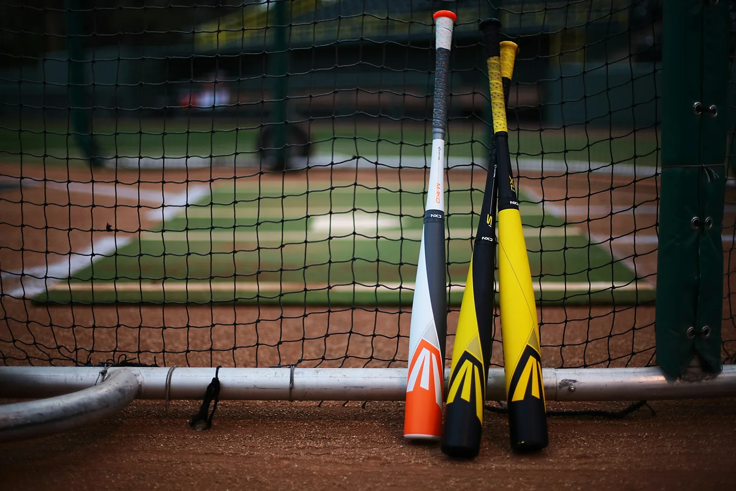 Baseball bats lined up against a net