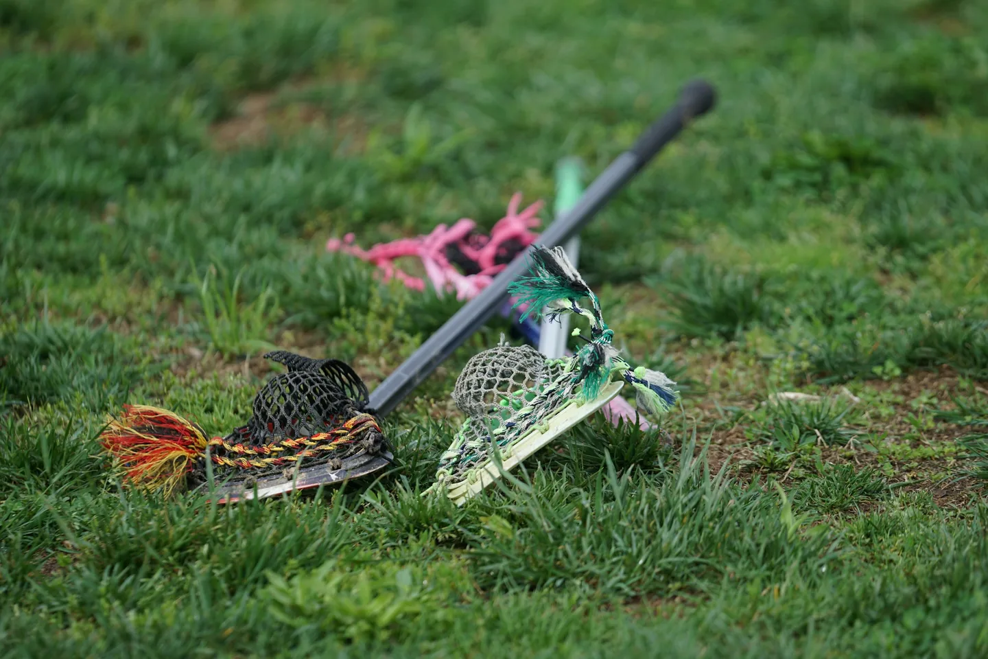 Two lacrosse sticks lying on the grass