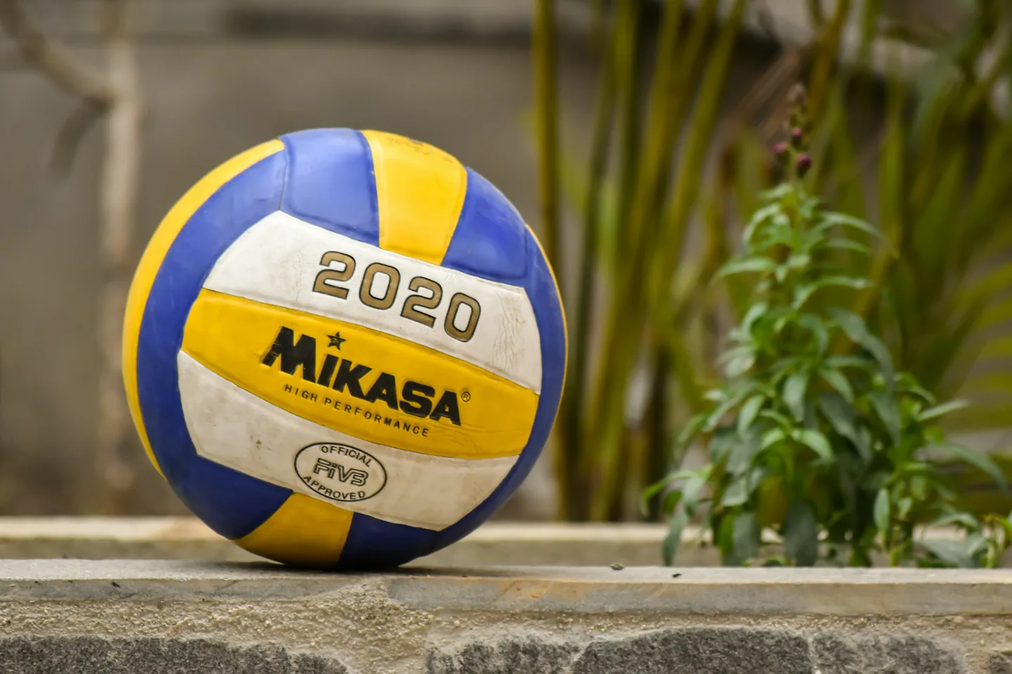 A volleyball resting on a wooden fence